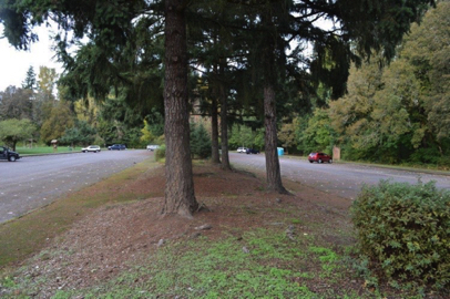 Paved parking lots - trail access to restroom and picnic shelter